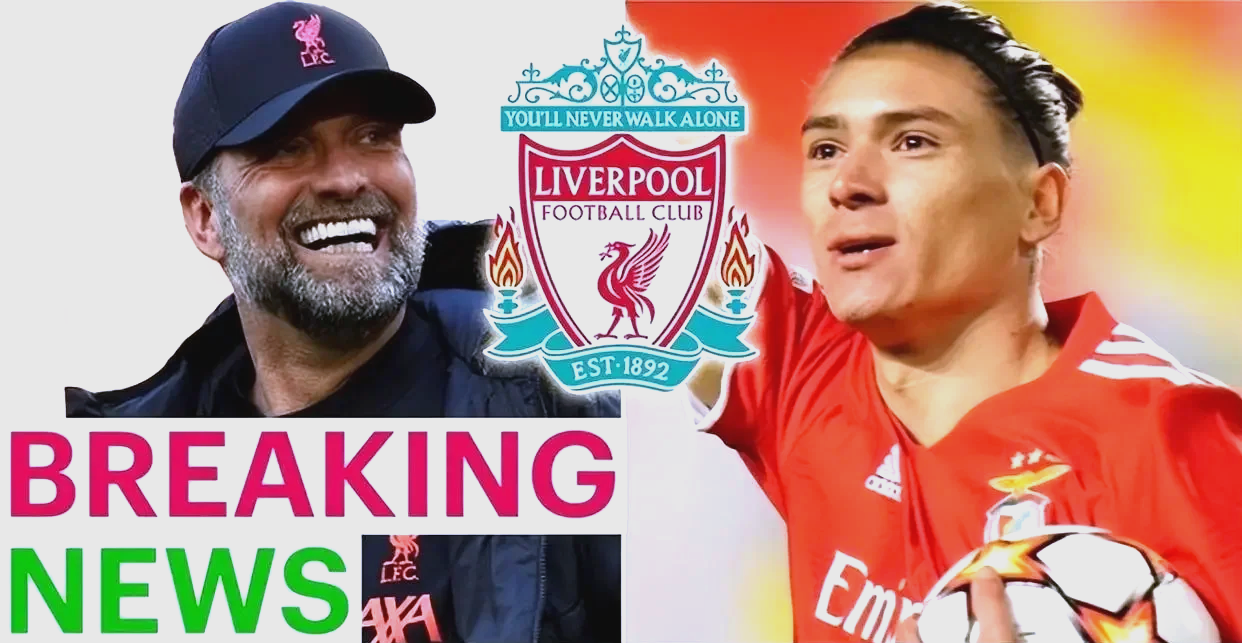 开云体育登录-利物浦新援逐渐融入，球队欧冠资格前景渐晋升的简单介绍