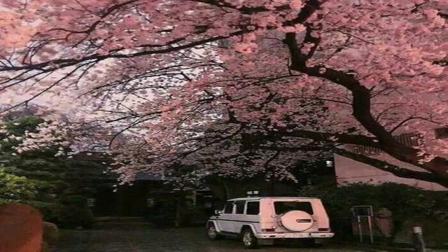 关于天主教车祸大胜,取得两连胜的信息 关于天主教车祸大胜,取得两连胜的信息